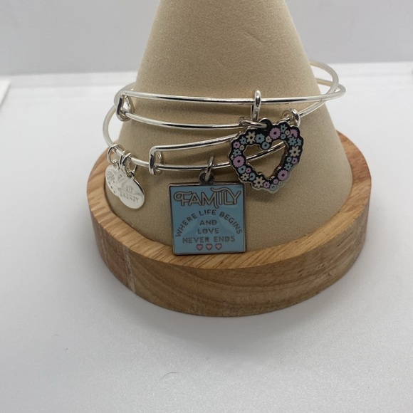 Alex & Ani Set of 2 Shiny Silver Bangles /Family/Colored Heart Charms/EUC - Picture 2 of 9